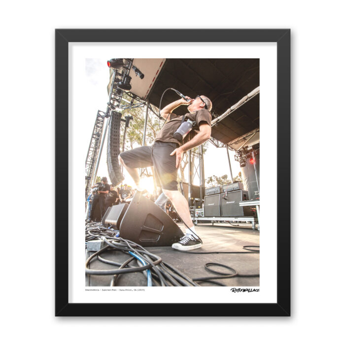 Descendents - Image 9
