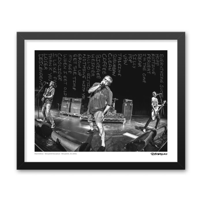 Descendents Setlist