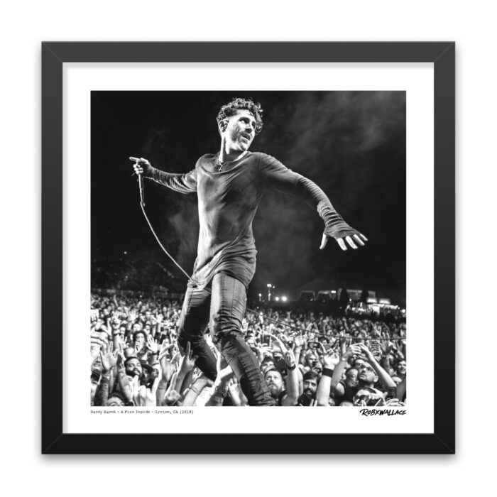 AFI - Davey Havok
